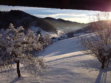 Maison de vacances �/en/au B�retswil (Z�rich)ou appartement ou maison de vacances