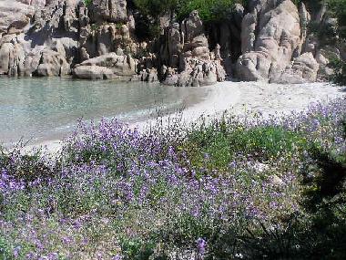 Maison de vacances �/en/au San Teodoro (Sassari)ou appartement ou maison de vacances