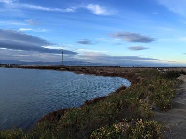 Appartement de vacances /en/au sant carles de la rapita (Tarragona)ou appartement ou maison de vacances