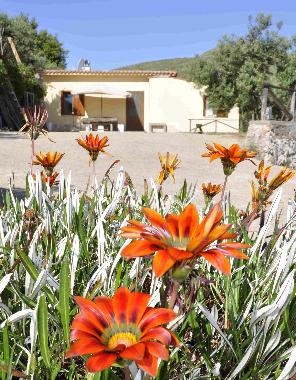 Villa �/en/au Gaeta (Latina)ou appartement ou maison de vacances