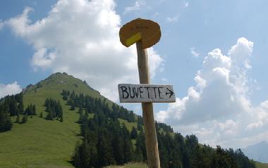Chalet �/en/au Les Paccots (Montreux-Vevey)ou appartement ou maison de vacances