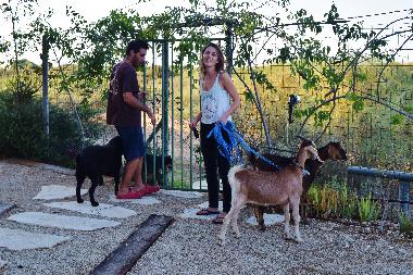 Maison de vacances �/en/au Mikhmoret (HaMerkaz (Central))ou appartement ou maison de vacances