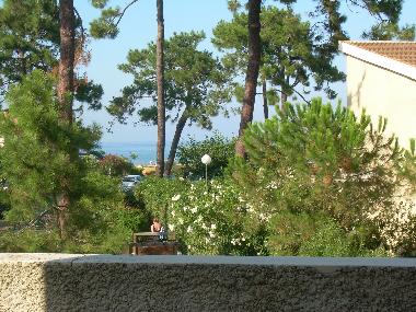 Appartement de vacances /en/au 20290 (Haute-Corse)ou appartement ou maison de vacances