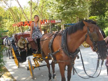 Maison de vacances /en/au bormujos sevilla (Sevilla)ou appartement ou maison de vacances