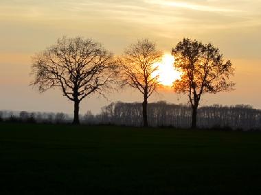 Maison de vacances /en/au Schnfeld Mhle (Mecklenburg-Schwerin)ou appartement ou maison de vacances