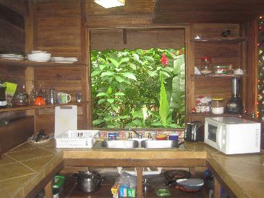 Cuisine, kitchen, cocina