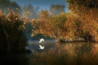 Maison de vacances �/en/au Somova (Tulcea)ou appartement ou maison de vacances