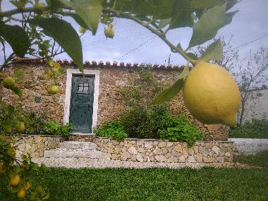 Chambre avec petit djeuner /en/au Vilar da M - Belver, Gavio (Alto Alentejo)ou appartement ou maison de vacances