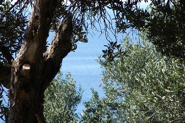 Appartement de vacances /en/au Dubrovnik (Dubrovacko-Neretvanska)ou appartement ou maison de vacances