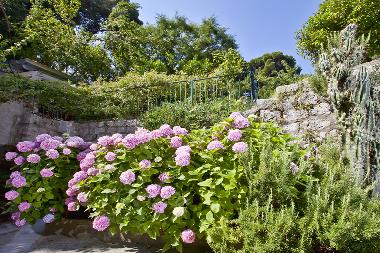 Appartement de vacances �/en/au Dubrovnik (Dubrovacko-Neretvanska)ou appartement ou maison de vacances