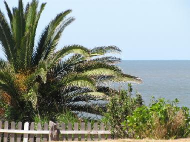 Maison de vacances �/en/au La Floresta (Canelones)ou appartement ou maison de vacances