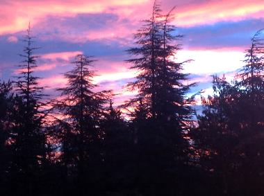 Maison de vacances �/en/au Caseneuve (Vaucluse)ou appartement ou maison de vacances