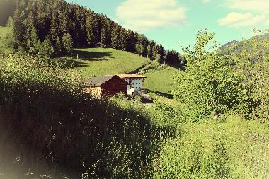 Appartement de vacances �/en/au Villn�ss (Bolzano-Bozen)ou appartement ou maison de vacances