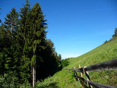 Appartement de vacances �/en/au Villn�ss (Bolzano-Bozen)ou appartement ou maison de vacances