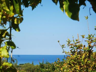 Appartement de vacances /en/au Pafos Peyia (Paphos)ou appartement ou maison de vacances