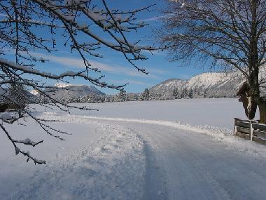 Appartement de vacances /en/au Wildermieming (Tiroler Oberland)ou appartement ou maison de vacances