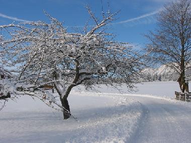 Appartement de vacances /en/au Wildermieming (Tiroler Oberland)ou appartement ou maison de vacances