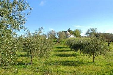 Maison de vacances �/en/au Martina Franca (Taranto)ou appartement ou maison de vacances