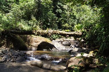 Villa �/en/au Puntarenas (Puntarenas)ou appartement ou maison de vacances