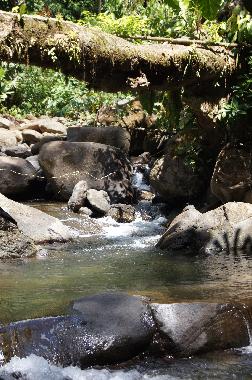 Villa �/en/au Puntarenas (Puntarenas)ou appartement ou maison de vacances