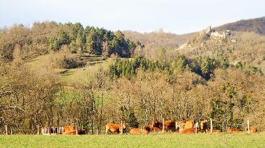 Maison de vacances �/en/au Durban sur Arize (Ari�ge)ou appartement ou maison de vacances