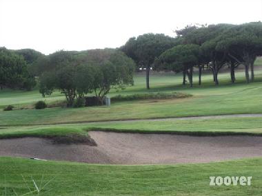 Golfs