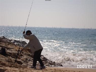 Peche