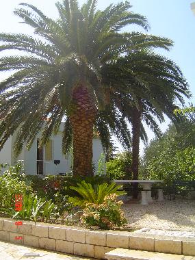 Appartement de vacances /en/au Rab (Primorsko-Goranska)ou appartement ou maison de vacances