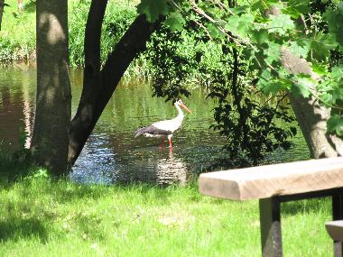 Chalet �/en/au Skulte (Lettland)ou appartement ou maison de vacances