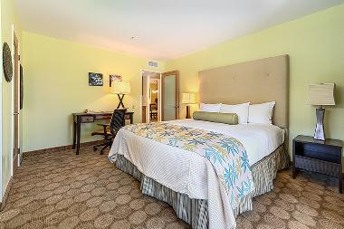 Appartement de vacances /en/au Palm Springs (California)ou appartement ou maison de vacances