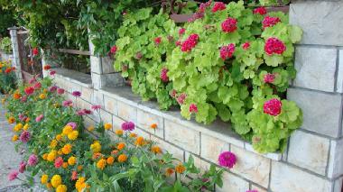 Appartement de vacances �/en/au Stari Grad (Splitsko-Dalmatinska)ou appartement ou maison de vacances