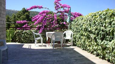 Appartement de vacances �/en/au Stari Grad (Splitsko-Dalmatinska)ou appartement ou maison de vacances