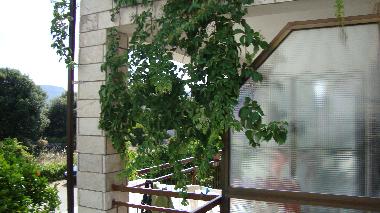 Appartement de vacances �/en/au Stari Grad (Splitsko-Dalmatinska)ou appartement ou maison de vacances