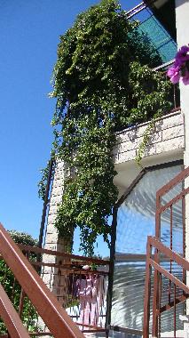 Appartement de vacances �/en/au Stari Grad (Splitsko-Dalmatinska)ou appartement ou maison de vacances