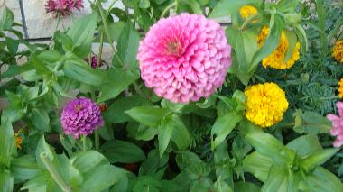 Appartement de vacances �/en/au Stari Grad (Splitsko-Dalmatinska)ou appartement ou maison de vacances