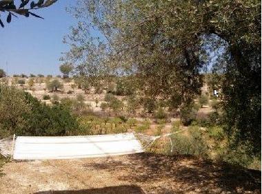 Appartement de vacances �/en/au noto (Siracusa)ou appartement ou maison de vacances