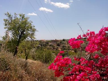 Appartement de vacances �/en/au noto (Siracusa)ou appartement ou maison de vacances