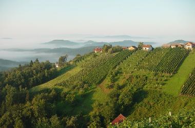 Maison de vacances �/en/au �entrupert (Trebnje)ou appartement ou maison de vacances