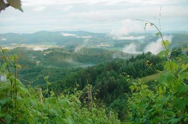 Maison de vacances �/en/au �entrupert (Trebnje)ou appartement ou maison de vacances