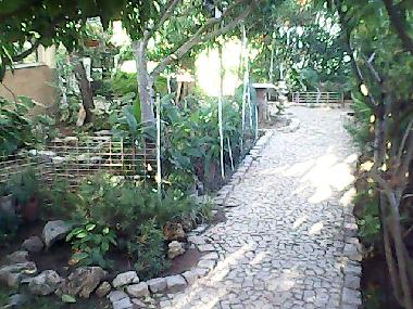 Maison de vacances �/en/au Conceicao Tavira (Algarve)ou appartement ou maison de vacances