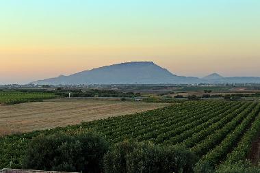 Chambre avec petit djeuner /en/au marsala (Trapani)ou appartement ou maison de vacances