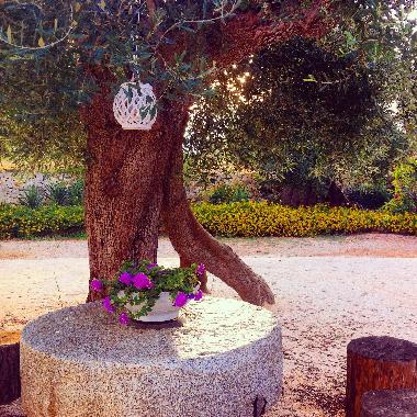 Villa �/en/au Ostuni (Brindisi)ou appartement ou maison de vacances