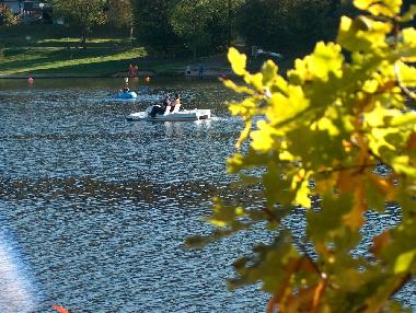 Appartement de vacances �/en/au Manderfeld (Wallonia)ou appartement ou maison de vacances