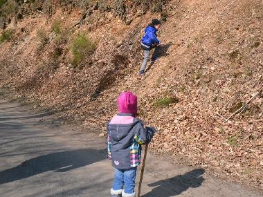 Appartement de vacances �/en/au Manderfeld (Wallonia)ou appartement ou maison de vacances