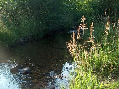 Appartement de vacances �/en/au Manderfeld (Wallonia)ou appartement ou maison de vacances