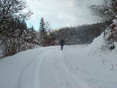 Appartement de vacances �/en/au Manderfeld (Wallonia)ou appartement ou maison de vacances