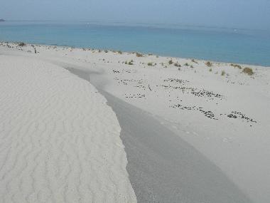 Maison de vacances �/en/au San Giovanni Suergiu (Carbonia-Iglesias)ou appartement ou maison de vacances