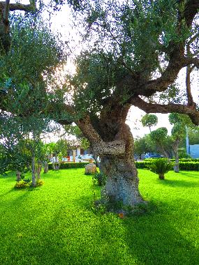 Maison de vacances /en/au Parabita (Lecce)ou appartement ou maison de vacances