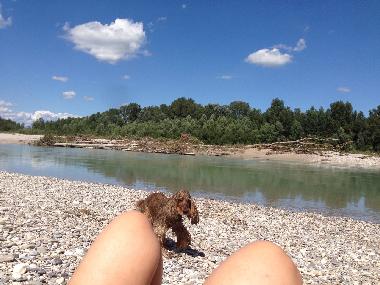 Villa /en/au Bibione (Venezia)ou appartement ou maison de vacances