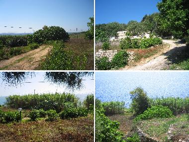 Appartement de vacances �/en/au Tricase Porto (Lecce)ou appartement ou maison de vacances